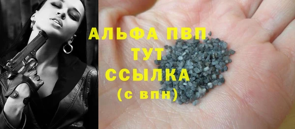 a pvp Белокуриха