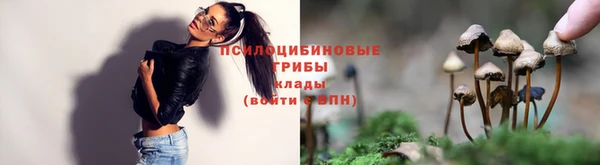 крисы Богородицк