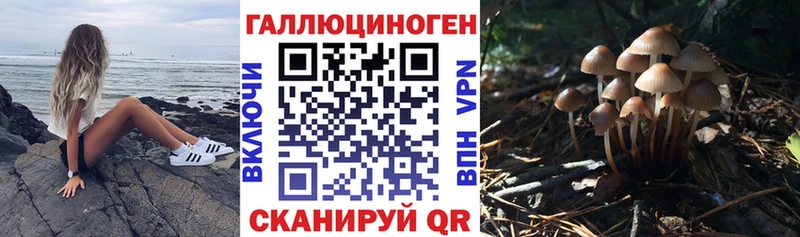 МЕГА онион  Козельск  Галлюциногенные грибы Magic Shrooms 