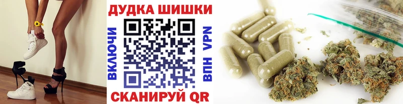 Бошки марихуана сатива  купить закладку  Козельск 